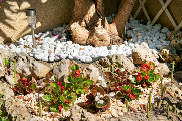 Decoración de un rincón de un jardín con begonias y piedras blancas en la palmera.