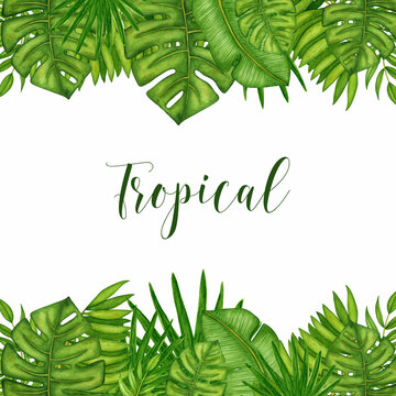 Watercolor border with green tropical leaves, rainforest / jungle palm branches. Hand drawn template. Summer nature frame on white background for design invitations, greeting cards, poster.