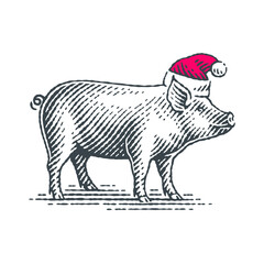 New Year Sign Zodiac Pig. Hand drawn engraving style illustrations.