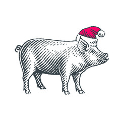 New Year Sign Zodiac Pig. Hand drawn engraving style illustrations.