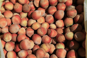 Nuts in shells in a container under sun