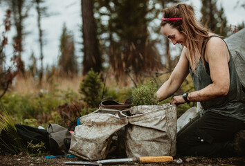 Female forest worker working on sustainable reforestation