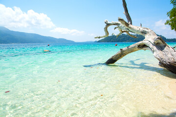 beautiful beach in tropical sea at lipe island ,satun Thailand