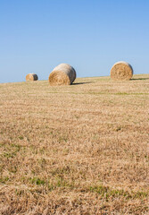Fototapeta premium Hay bale drying in the field at harvest time.