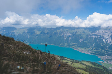 Lake Brienz from above