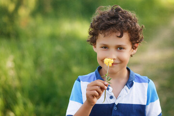 Asian boy smelling flower, portrait of little boy smelling picked flowers in nature