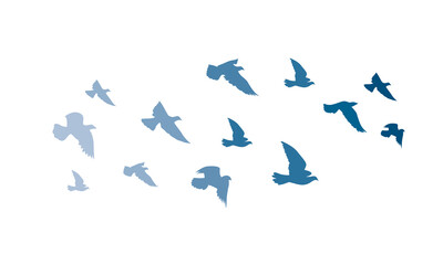 Flying birds silhouettes on white background. Vector illustration. isolated bird flying. tattoo design.