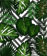 tropical plants illustration background