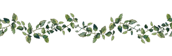 Seamless border of green melissa officinalis twigs, isolated on white. Watercolour illustration. For duct tape, textile, stationary and packaging design. - obrazy, fototapety, plakaty