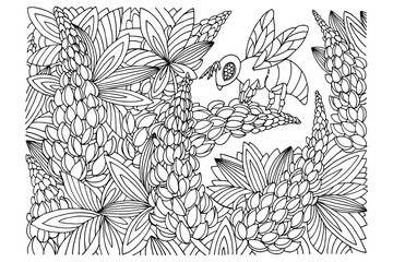 coloring book, bee on lupine flowers, hand drawn, antistress, sketch, doodle, black and white, vector illustration