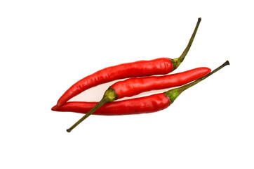 Red chili pepper