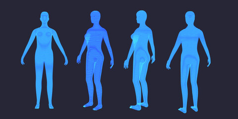 Human body lines wireframe woman body set. Futuristic lines scan. 3D body in HUD style. Healthcare banner. Vector illustration.