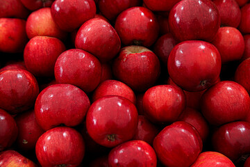 Red shining apples in the grocery stock