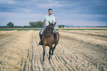Horseback rider walking viewed from the front in the field on a straw stubble. Horse riding.
