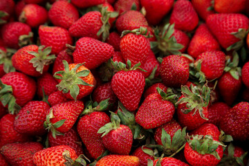 Fresh strawberries with green stems