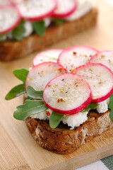 Toasts with ricotta cheese, arugula and radish closeup