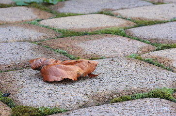 Brown sheet on brown paving slabs