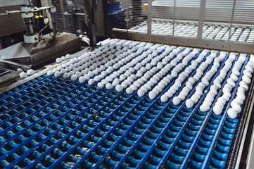 egg factory industry poultry conveyor production