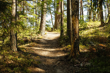 Path to the sea.../ in the dunes /