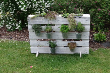 Kr&auml;utergarten auf einer Palette auf dem Rasen