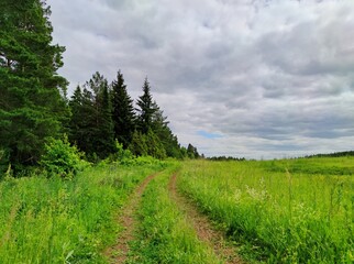 Fototapeta premium country road near the forest against a cloudy sky