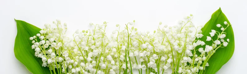 Küchenrückwand glas motiv Beautiful Spring nature background with Lily of the valley flowers. Bouquet of spring flowers. Banner. © Marina Dobryakova