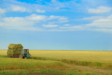 A tractor gathering and carrying green plants