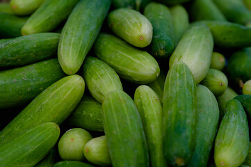 close up of green cucumber.vegetable in the market for sell.top view