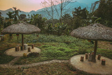 Tranquil view of a backyard vegetable and fruit garden in Ha giang Vietnam  that shows the everyday life and culture in the countryside
