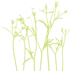 Natural - Background template