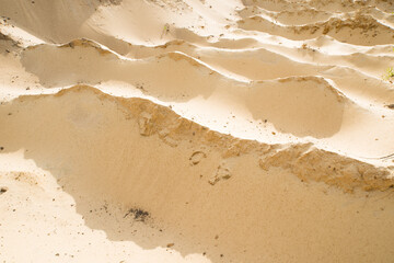 Sand quarry. Texture. Traces of production.