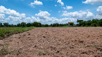 Soil waiting to be cultivated