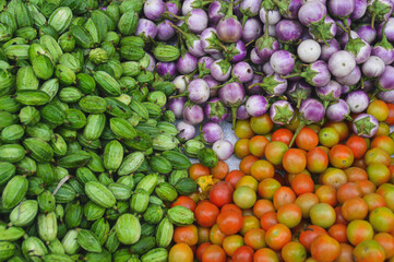 Fresh harvest of organically grown cucumbers, kermit eggplants and tomatoes