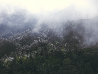 Fog rolling over the thick forest of Lung cu, Vietnam during the winter season