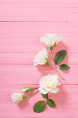 Fototapeta na wymiar white roses on pink wooden background