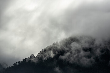 Dark landscape of mystery with fog, mist and clouds in the Cloud Forest ecosystem with copy space.