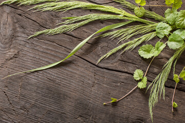 wild plants on old dark wooden background