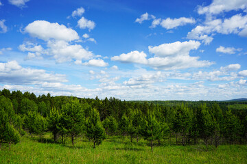 Fototapeta na wymiar Landscape with blue sky and white fluffy clouds. Green forest and sky. Beautiful nature background.