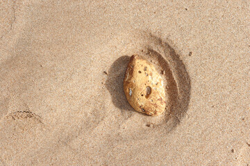 Galet sur la plage