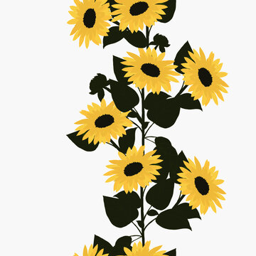 Seamless pattern with yellow sunflowers and green leaves. Bouquets with sunflowers. Sunflowers on a white background