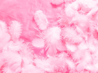 Fototapeta premium Beautiful abstract white and pink feathers on white background and soft white feather texture on pink pattern and pink background, feather background, pink banners