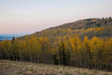 Fototapeta premium autumn in the mountains and clear sky