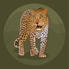 African Leopard on a Green Background