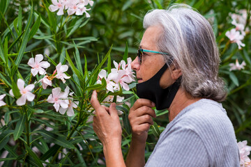 A gray-haired senior woman lowers her medical mask to smell the pink flowers of the oleander plant in a public park - love of nature and relaxed retirement