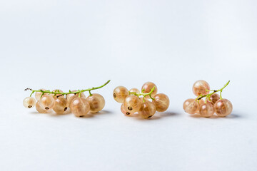 White currants on a white background. Three tassels of white currant lie in a row
