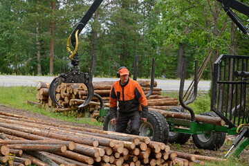 Loading - unloading logs. Forester stacks logs for construction. Finnish Lapland