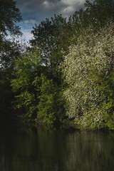 Park Moczydlo and its lake in the spring in the Warsaw city.