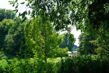 Park Glienicke bei Sonnenschein