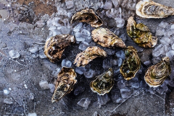 top view of delicious oysters on ice cubes and wine glass