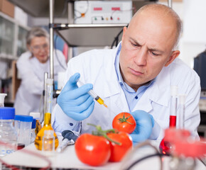 Biochemist injecting chemicals into tomatoes